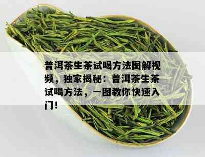 普洱茶生茶试喝方法图解视频，独家揭秘：普洱茶生茶试喝方法，一图教你快速入门！