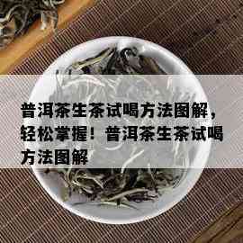 普洱茶生茶试喝方法图解，轻松掌握！普洱茶生茶试喝方法图解