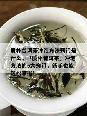 质朴普洱茶冲泡方法窍门是什么，「质朴普洱茶」冲泡方法的5大窍门，新手也能轻松掌握！