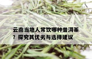 云南当地人常饮哪种普洱茶？探究其优劣与选择建议