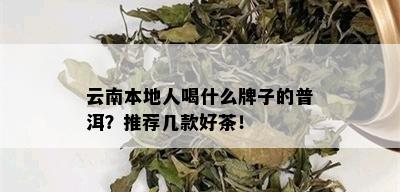 云南本地人喝什么牌子的普洱？推荐几款好茶！