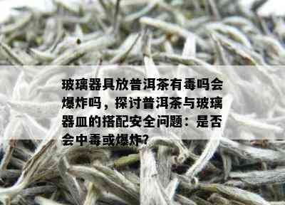 玻璃器具放普洱茶有吗会爆炸吗，探讨普洱茶与玻璃器皿的搭配安全问题：是否会中或爆炸？