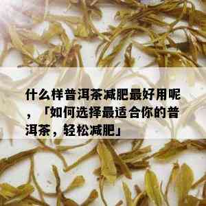 什么样普洱茶减肥更好用呢，「如何选择最适合你的普洱茶，轻松减肥」