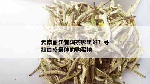 云南丽江普洱茶哪里好？寻找口感更佳的购买地