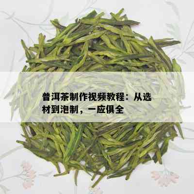 普洱茶制作视频教程：从选材到泡制，一应俱全