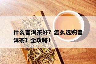 什么普洱茶好？怎么选购普洱茶？全攻略！