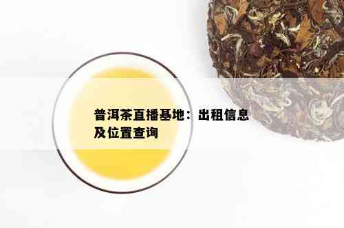 普洱茶直播基地：出租信息及位置查询