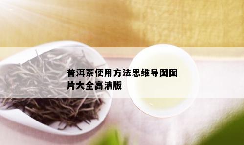 普洱茶使用方法思维导图图片大全高清版