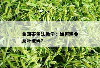 普洱茶煮法教学：如何避免茶叶破碎？