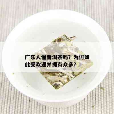 广东人懂普洱茶吗？为何如此受欢迎并拥有众多？