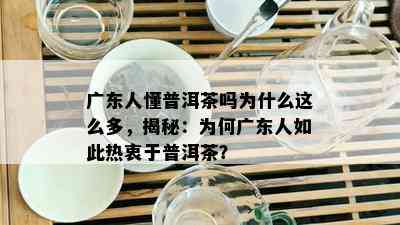 广东人懂普洱茶吗为什么这么多，揭秘：为何广东人如此热衷于普洱茶？