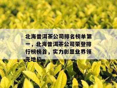 北海普洱茶公司排名榜单之一，北海普洱茶公司荣登排行榜榜首，实力彰显业界领先地位