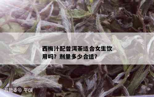 西梅汁配普洱茶适合女生饮用吗？剂量多少合适？