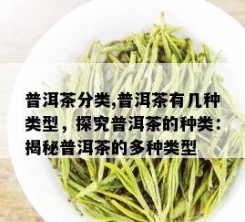 普洱茶分类,普洱茶有几种类型，探究普洱茶的种类：揭秘普洱茶的多种类型