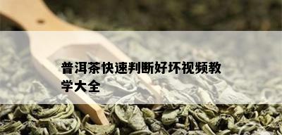 普洱茶快速判断好坏视频教学大全