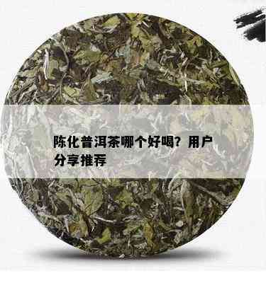 陈化普洱茶哪个好喝？用户分享推荐