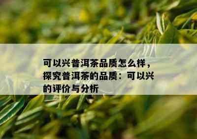 可以兴普洱茶品质怎么样，探究普洱茶的品质：可以兴的评价与分析