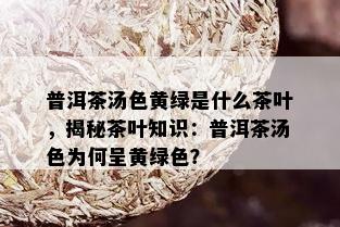 普洱茶汤色黄绿是什么茶叶，揭秘茶叶知识：普洱茶汤色为何呈黄绿色？