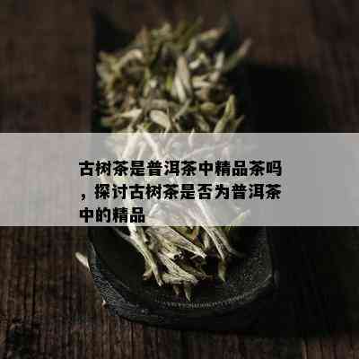 古树茶是普洱茶中精品茶吗，探讨古树茶是否为普洱茶中的精品