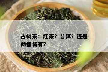 古树茶：红茶？普洱？还是两者皆有？