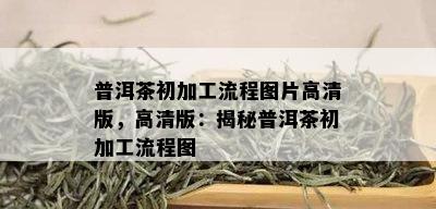 普洱茶初加工流程图片高清版，高清版：揭秘普洱茶初加工流程图