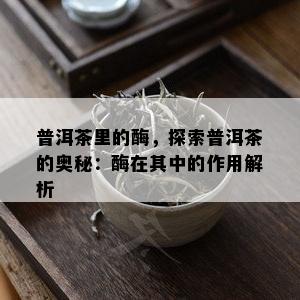 普洱茶里的酶，探索普洱茶的奥秘：酶在其中的作用解析