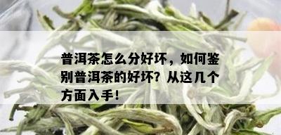 普洱茶怎么分好坏，如何鉴别普洱茶的好坏？从这几个方面入手！