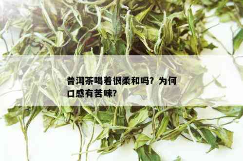 普洱茶喝着很柔和吗？为何口感有苦味？