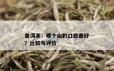 普洱茶：哪个山的口感更好？比较与评价