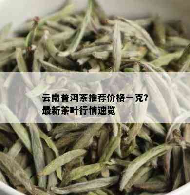 云南普洱茶推荐价格一克？最新茶叶行情速览