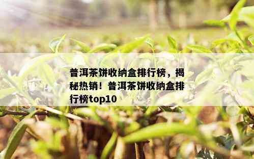 普洱茶饼收纳盒排行榜，揭秘热销！普洱茶饼收纳盒排行榜top10