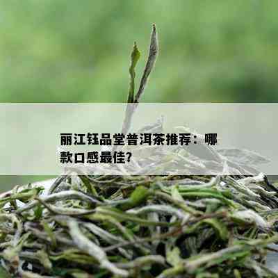 丽江钰品堂普洱茶推荐：哪款口感更佳？