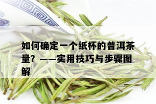 如何确定一个纸杯的普洱茶量？——实用技巧与步骤图解