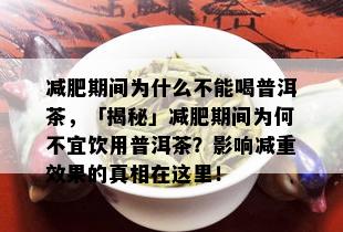 减肥期间为什么不能喝普洱茶，「揭秘」减肥期间为何不宜饮用普洱茶？影响减重效果的真相在这里！