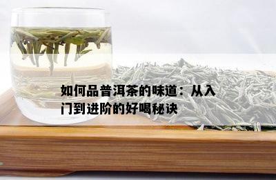 如何品普洱茶的味道：从入门到进阶的好喝秘诀