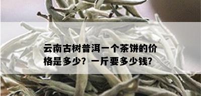 云南古树普洱一个茶饼的价格是多少？一斤要多少钱？