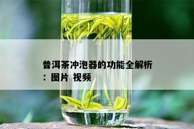 普洱茶冲泡器的功能全解析：图片 视频