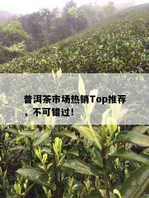 普洱茶市场热销Top推荐，不可错过！