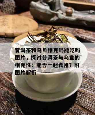 普洱茶和乌鱼相克吗能吃吗图片，探讨普洱茶与乌鱼的相克性：能否一起食用？附图片解析