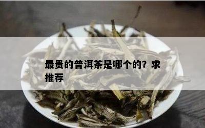 最贵的普洱茶是哪个的？求推荐