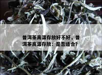 普洱茶高温存放好不好，普洱茶高温存放：是否适合？