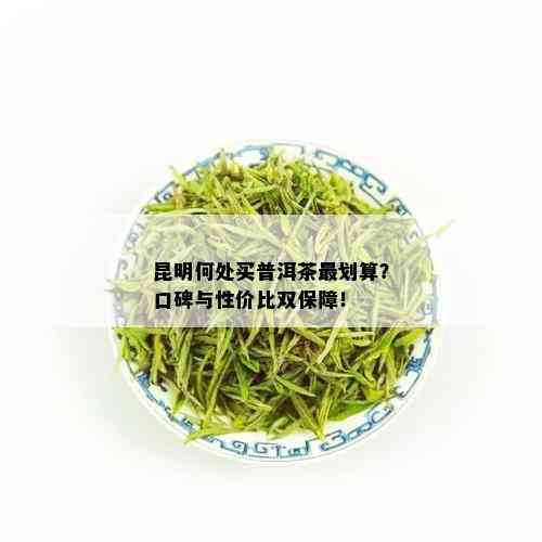 昆明何处买普洱茶最划算？口碑与性价比双保障！