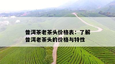 普洱茶老茶头价格表：了解普洱老茶头的价格与特性