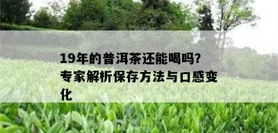 19年的普洱茶还能喝吗？专家解析保存方法与口感变化