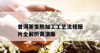 普洱茶生熟加工工艺流程图片全解析高清版