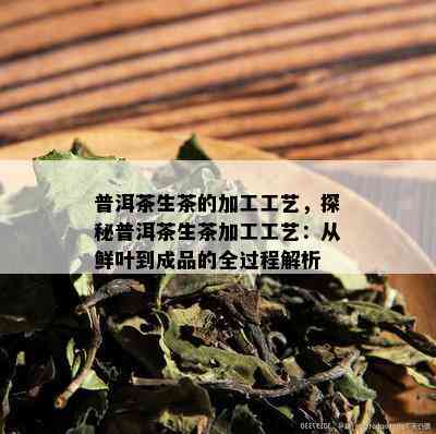 普洱茶生茶的加工工艺，探秘普洱茶生茶加工工艺：从鲜叶到成品的全过程解析