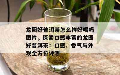 龙园好普洱茶怎么样好喝吗图片，探索口感丰富的龙园好普洱茶：口感、香气与外观全方位评测