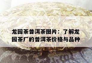 龙园茶普洱茶图片：了解龙园茶厂的普洱茶价格与品种