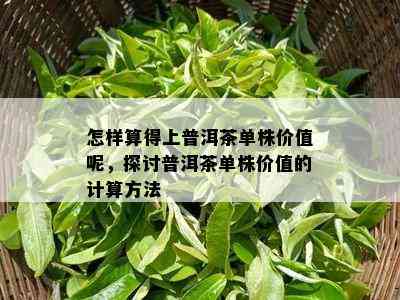 怎样算得上普洱茶单株价值呢，探讨普洱茶单株价值的计算方法