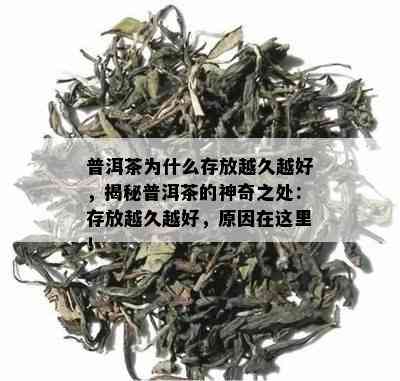 普洱茶为什么存放越久越好，揭秘普洱茶的神奇之处：存放越久越好，原因在这里！